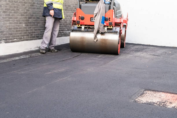 Best Driveway Snow Removal Preparation  in Oakdale, MN